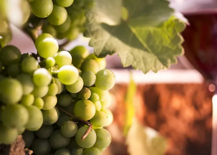 Zur Weinsteige Stuttgart