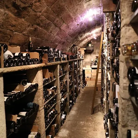 酒店 祖尔维恩斯泰吉****酒店 4*