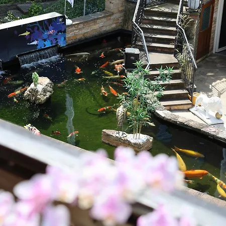 祖尔维恩斯泰吉****酒店