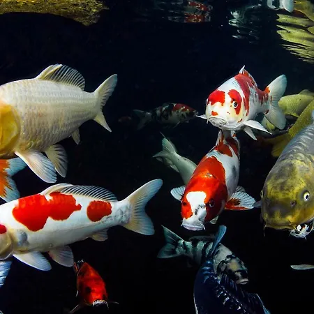 Zur Weinsteige 슈투트가르트