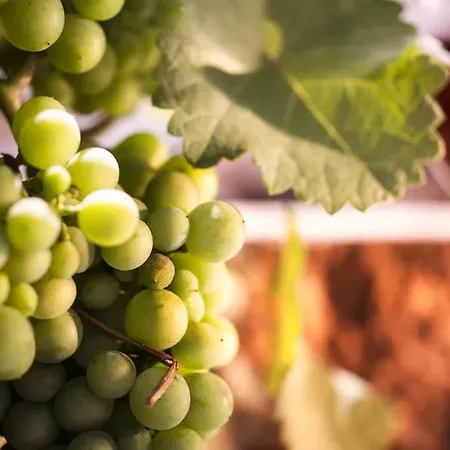 Zur Weinsteige שטוטגרט