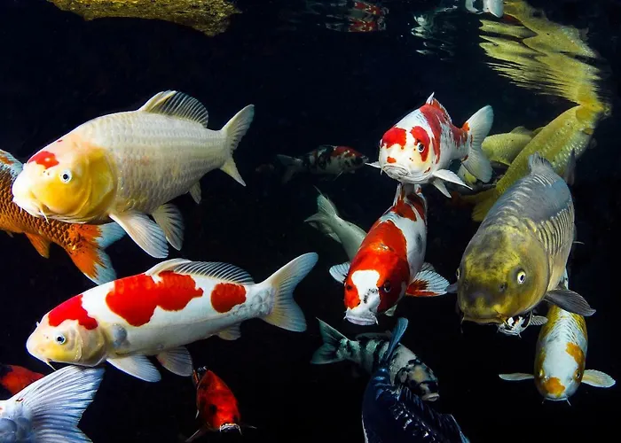 Zur Weinsteige Stuttgart