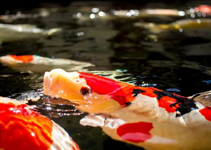 Zur Weinsteige 4* Stuttgart