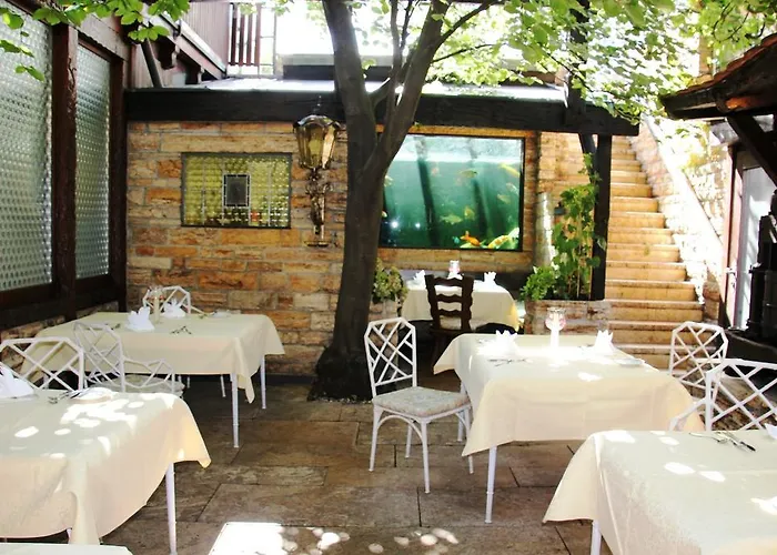 Ξενοδοχείο Zur Weinsteige 4*